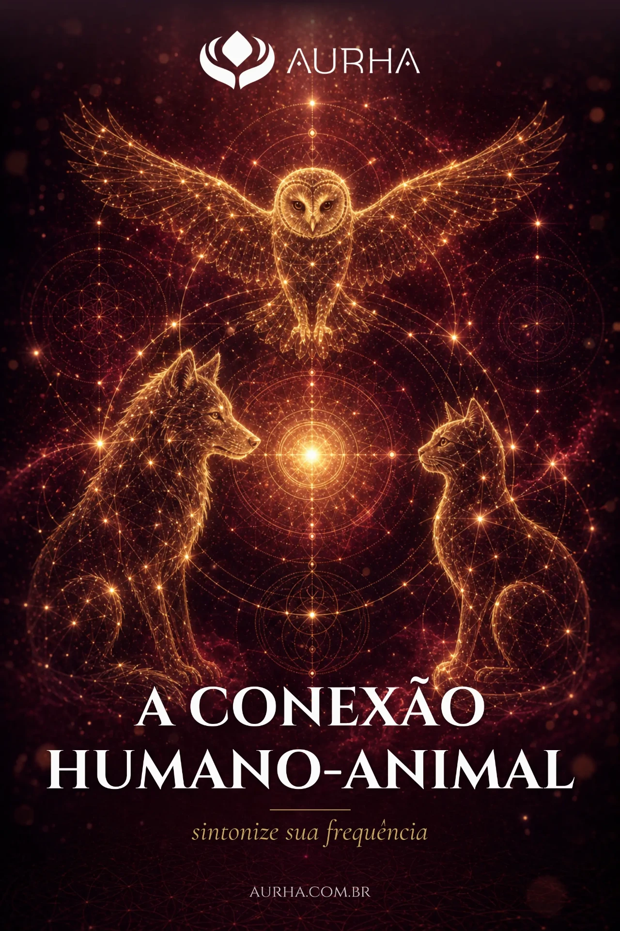 A Conexão Humano Animal