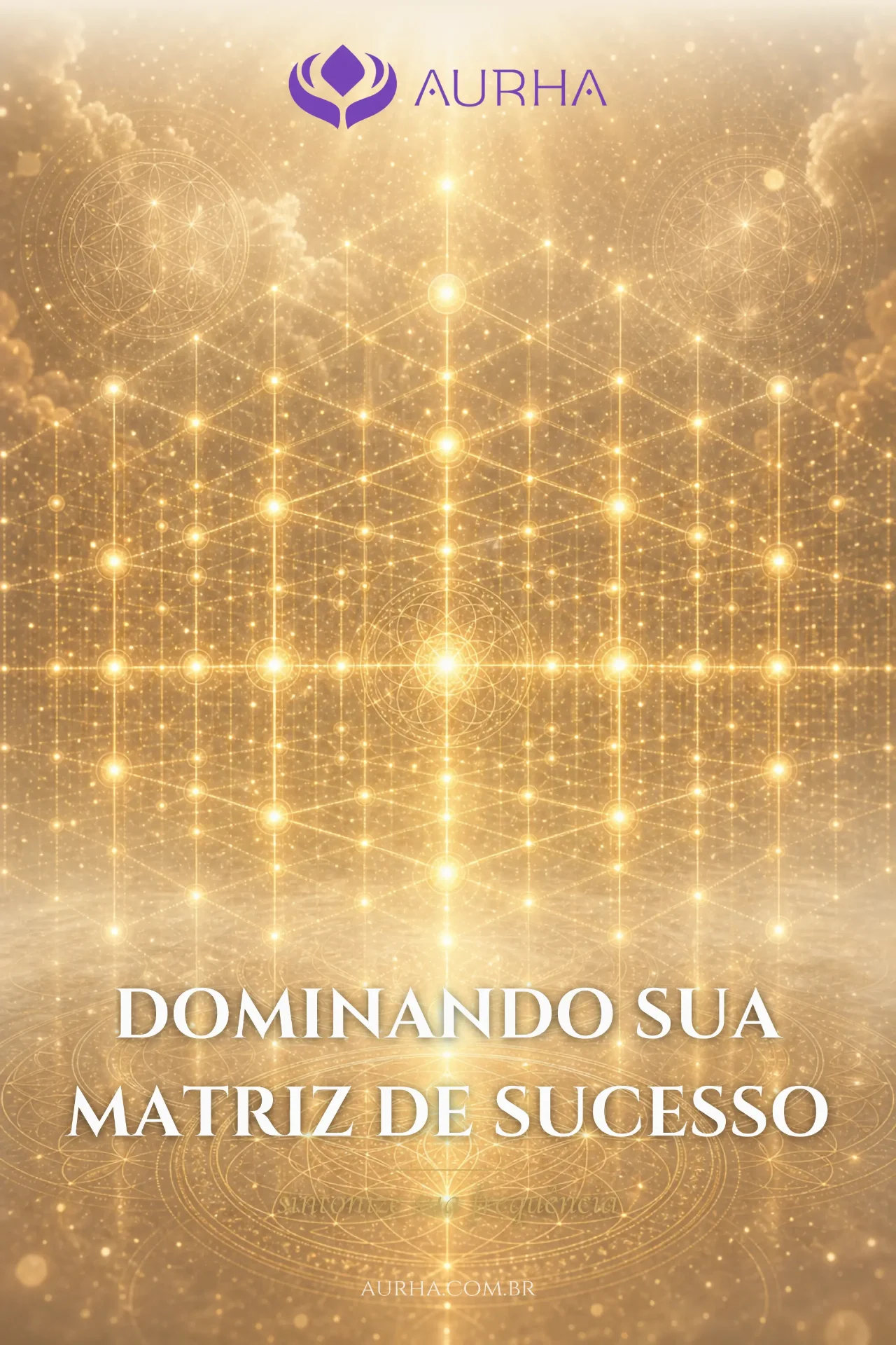 Dominando sua Matriz de Sucesso